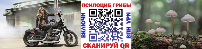 кракен рабочий сайт  Сольцы  Галлюциногенные грибы мицелий 